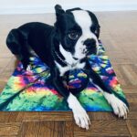 Silhouette of a person meditating in lotus pose against teal background.